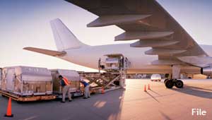 हवाई माल ढुलाई