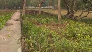 नील कोठी