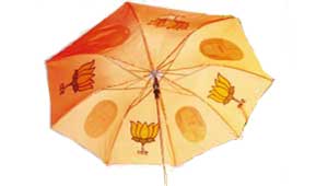 भाजपा छतरी