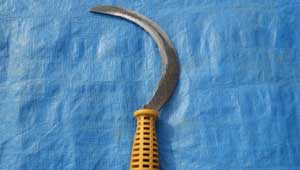 किसानो का हंसिया