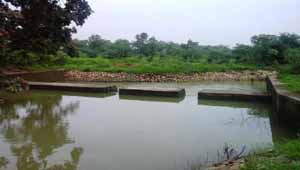 चेकडेम