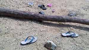 चंदन तस्कर