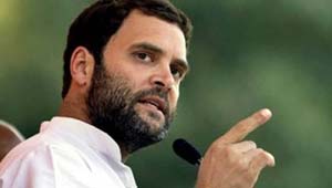 राहुल गांधी-कांग्रेस उपाध्यक्ष