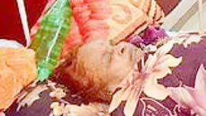 किस्मत बाई देवार-लोक गायिका