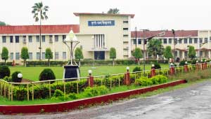 धान की नई किस्म