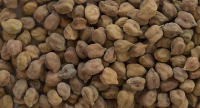 चना छत्तीसगढ़