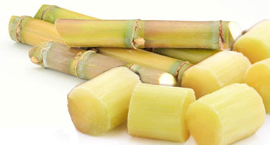 गन्ना की कीमत