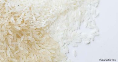 छत्तीसगढ़ में राशन कार्ड